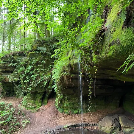 Wohlfuehl-oase In Der 